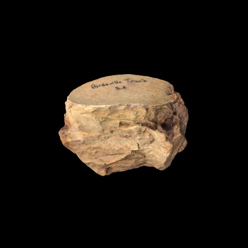 Horsehoof core Birdsville Track Ray's Horsehoof core Birdsville Track Ray's